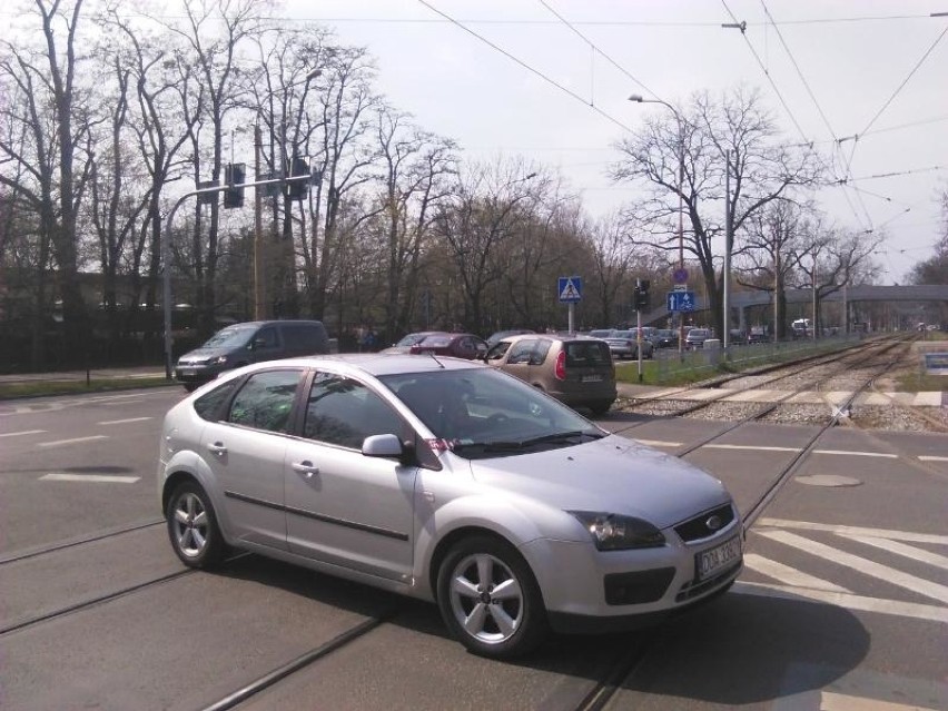 Tłumy we wrocławskim zoo. To ostatni weekend przed podwyżką [FOTO]