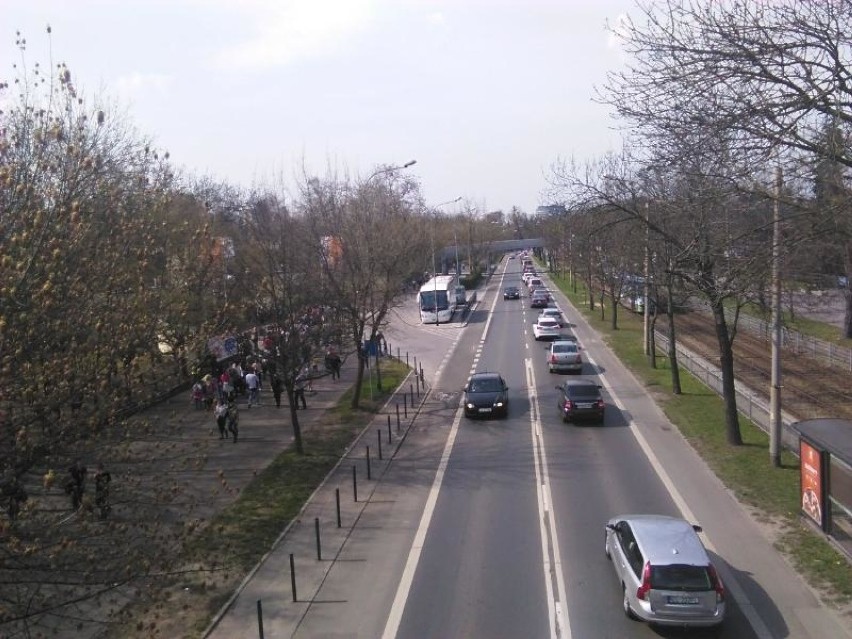 Tłumy we wrocławskim zoo. To ostatni weekend przed podwyżką [FOTO]