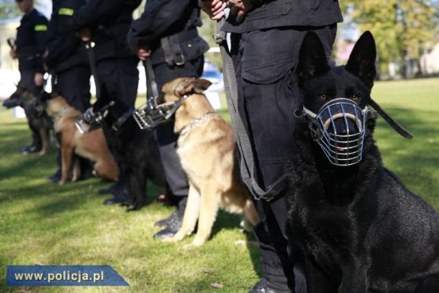 Asp. szt. Tomasz Studenny najlepszym przewodnikiem psa