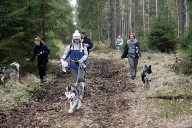 Czwarta edycja dogtrekkingu