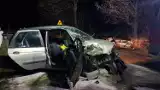Z AKCJI: Groźny wypadek na drodze powiatowej z Dobrzycy w kierunku Krotoszyna [ZDJĘCIA]
