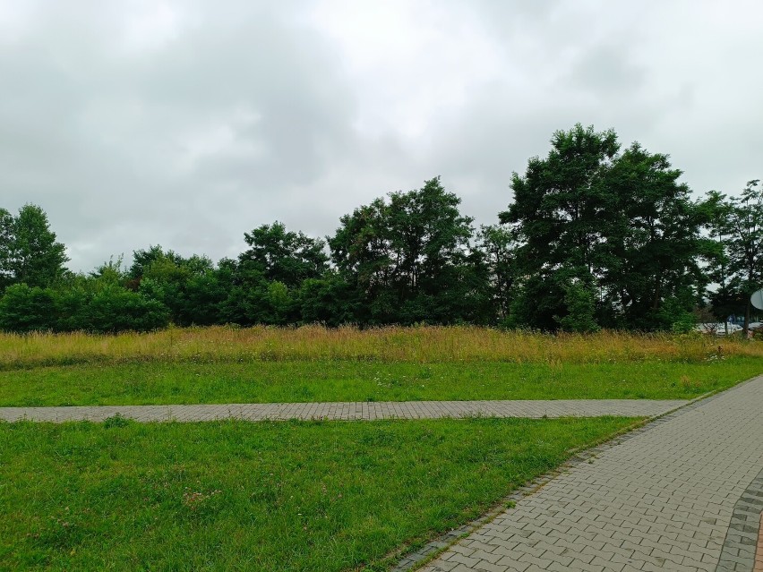 Umowa na budowę parku przy ulicy Jagiellońskiej w Radomsku podpisana
