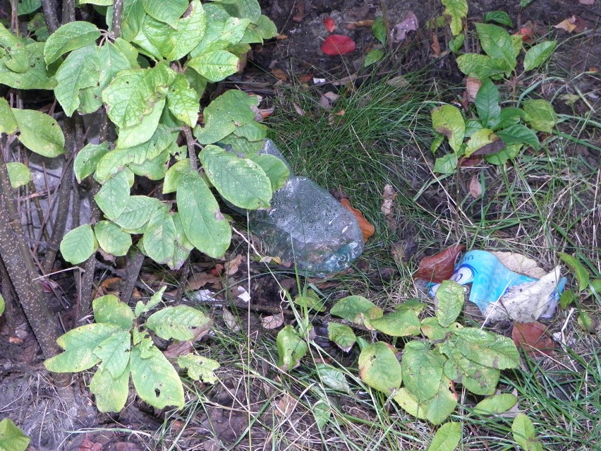 Śmieci Żory 2014: Znowu brudno jest na miejskim parkingu przy al. Niepodległości