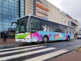 Galeria Jurajska uruchomiła dwie linie autobusowe, które dowiozą klientów z Poczesnej i Olsztyna