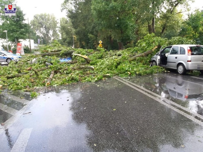 Biała Podlaska. Burza połamała drzewa, które uszkodziły...