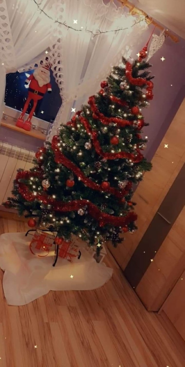 Choinki bożonarodzeniowe Czytelników portalu Kalisz.NaszeMiasto.pl. Zobacz najładniejsze świąteczne drzewka. ZDJĘCIA