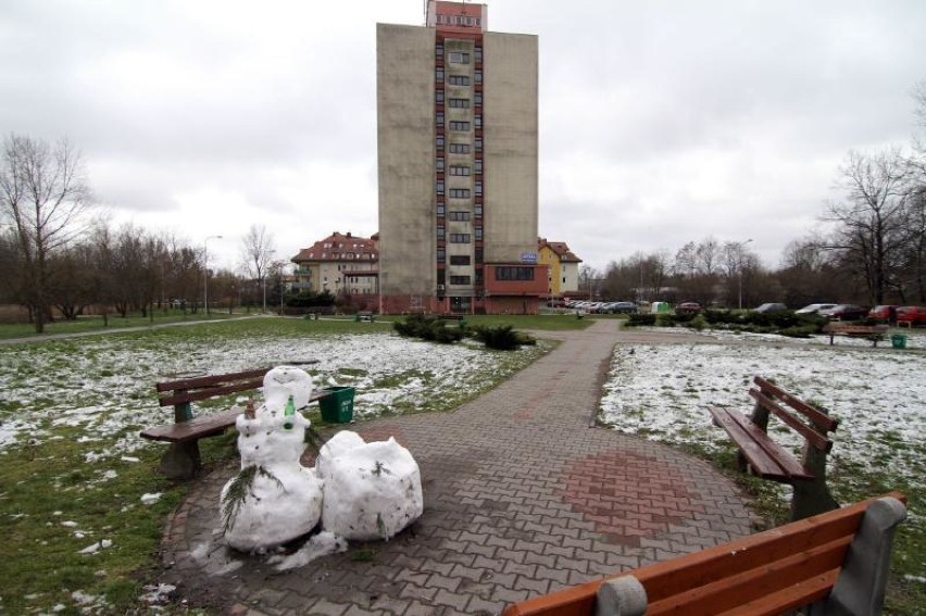Studenci z Wrocławia ulepili bałwana! [FOTO]