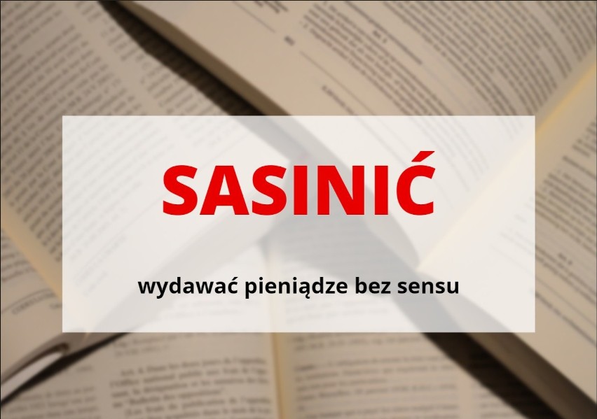 „Sasinić”, czyli wydawać pieniądze bez sensu...