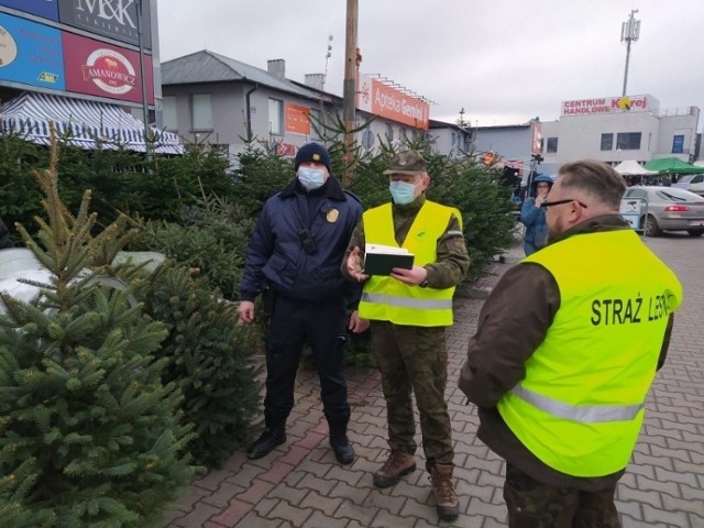 Strażnicy kontrolują radomskie targowiska sprawdzając, czy choinki i stroisz pochodzą z legalnego źródła.