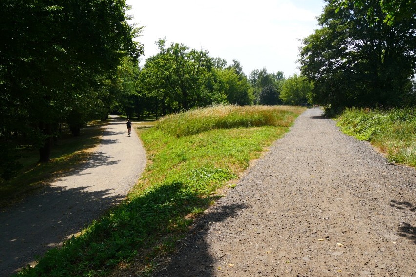 Legnica: Dziś nieprzejezdna, zielona ścieżka przy parku, wkrótce będzie tu nowa droga. Połączy ulicę Mickiewicza z rondem 