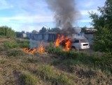 Tarnowskie Góry: Pożar auta na Osadzie Jana przy ul. Różanej