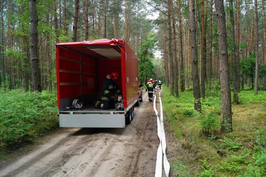 Ćwiczenia gaszenia lasu w Czerniejewie.