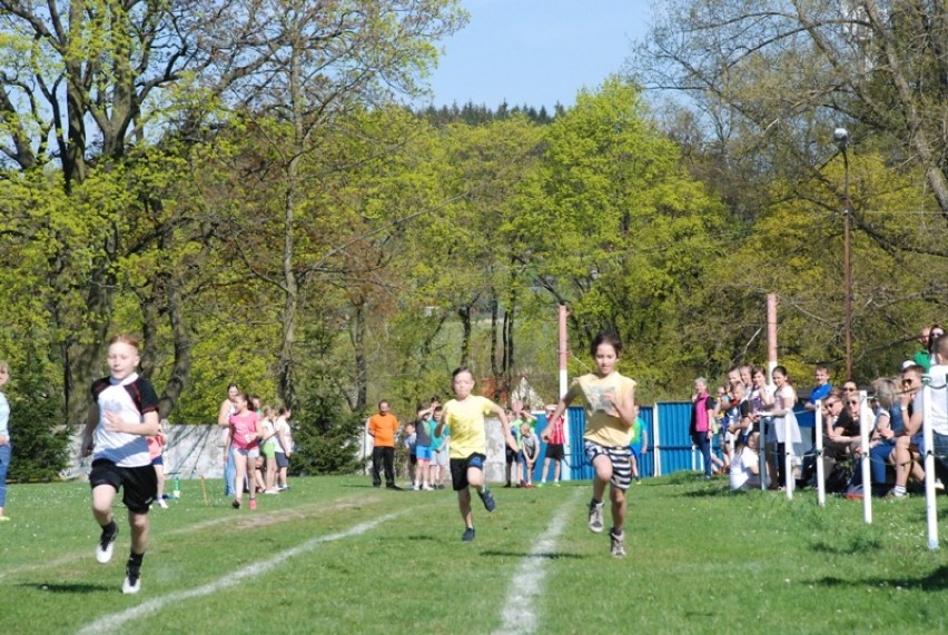 Młodzi biegacze z Głuszycy rozpoczęli sportową rywalizację w...