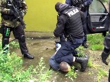 W ręce policji wpadło 20 kilogramów narkotyków [ZDJĘCIA, WIDEO]