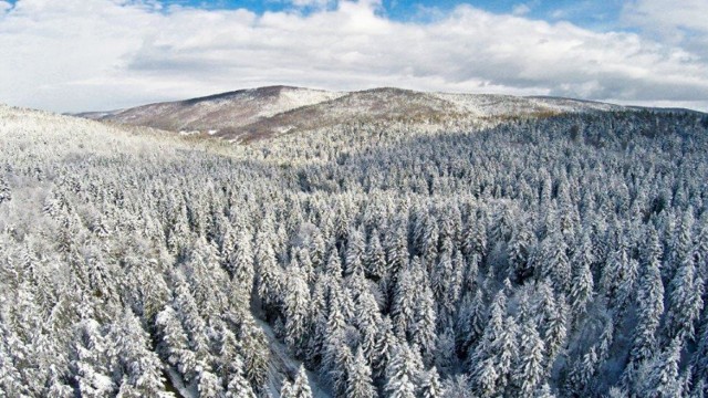 Na Magurze Małastowskiej jest jak w krainie Narni