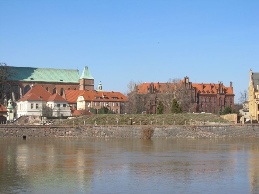 Wrocław: Na bulwarze na Ostrowie Tumskim biblioteka zamiast drzew