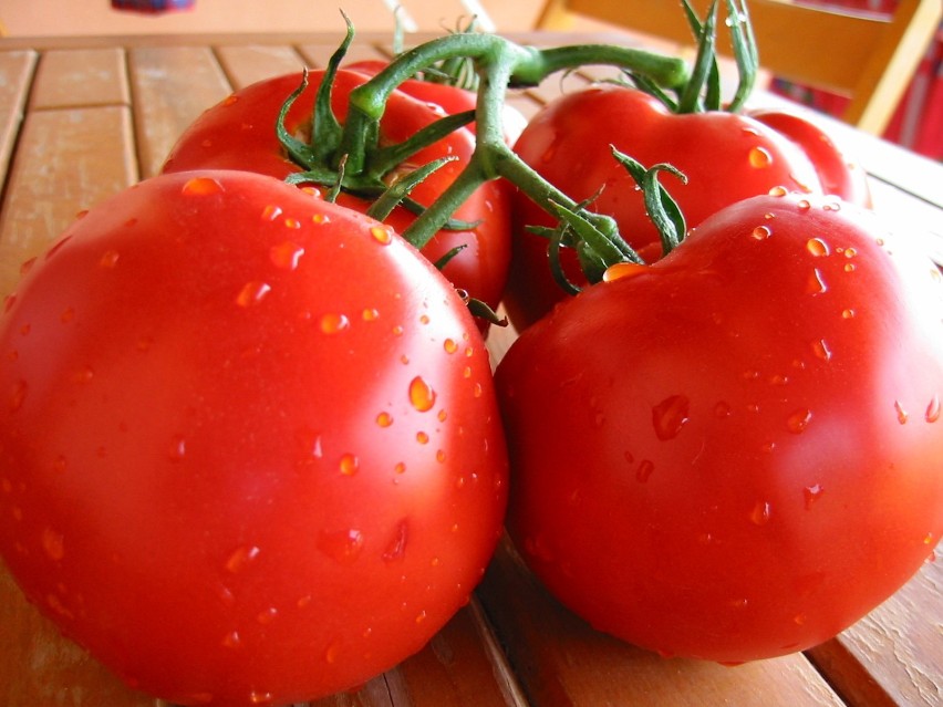 Świeże pomidory, najlepiej prosto z ogródka - ciężko się im...