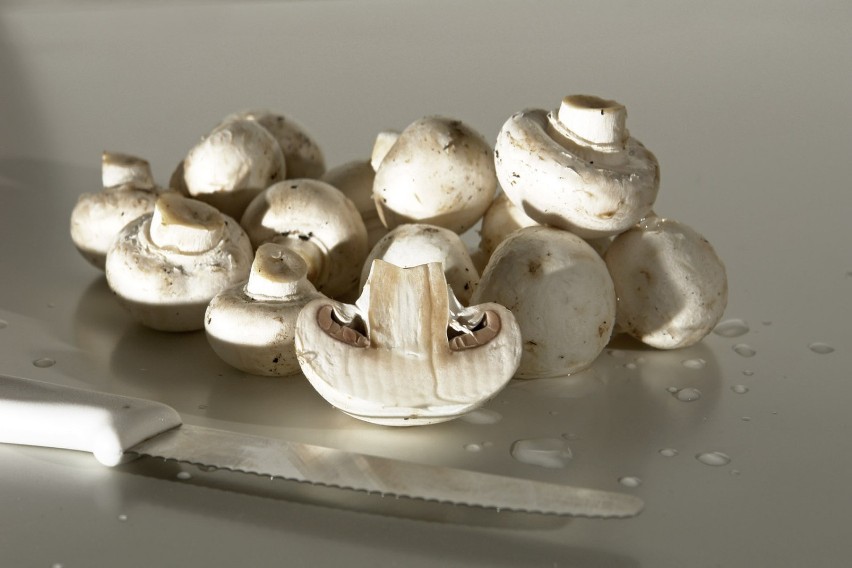 Z badań wynika, że grzyby są zasadniczo niestrawne, dopóki...