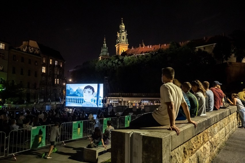 Kraków. Najlepsze animacje roku w plenerowym kinie pod Wawelem [ZDJĘCIA]