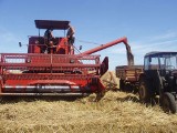 Rolnicy mogą starać się o pomoc z unijnych funduszy