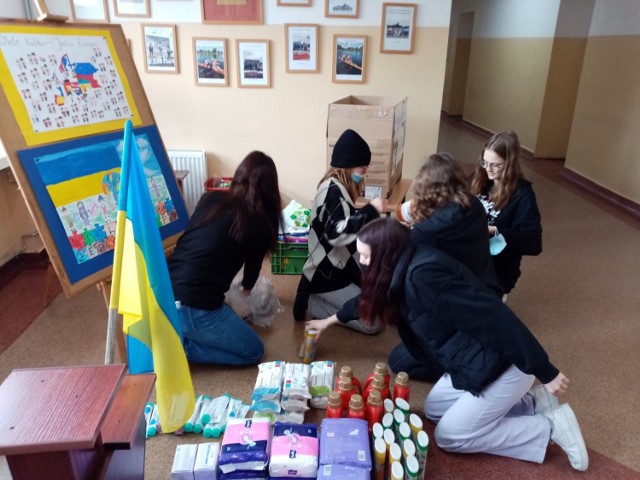 Uczniowie ze Szkolnego Koła Wolontariatu przy SP nr 10 w Bydgoszczy najpierw zbierali środki opatrunkowe, żywność i  środki czystości dla Ukraińców. Teraz ruszają z kolejną inicjatywą.