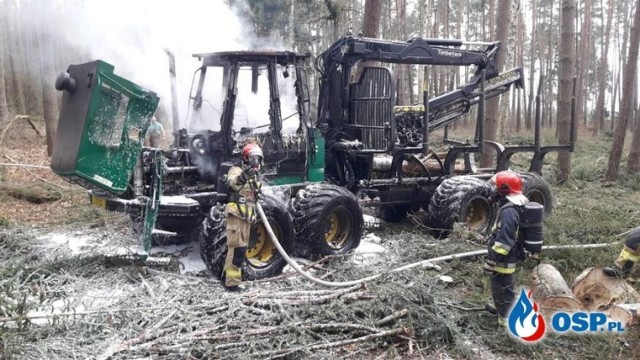 Pożar wybuchł w środku lasu między Bobowickiem a Polickiem.