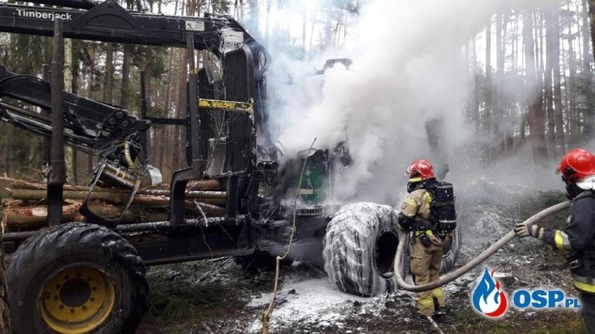 Pożar wybuchł w środku lasu między Bobowickiem a Polickiem.