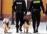 Wałbrzych: Policjanci pomogli uratować rannego psa