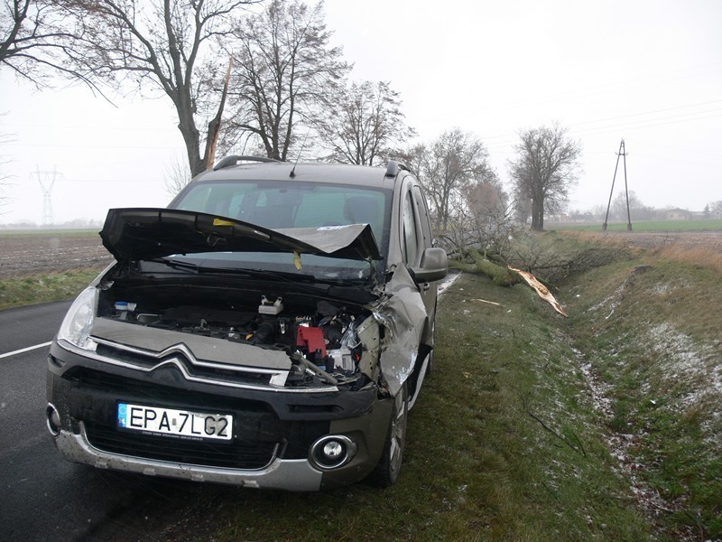 Na drodze koło Chodaków w gm. Zadzim drzewo przewróciło się...