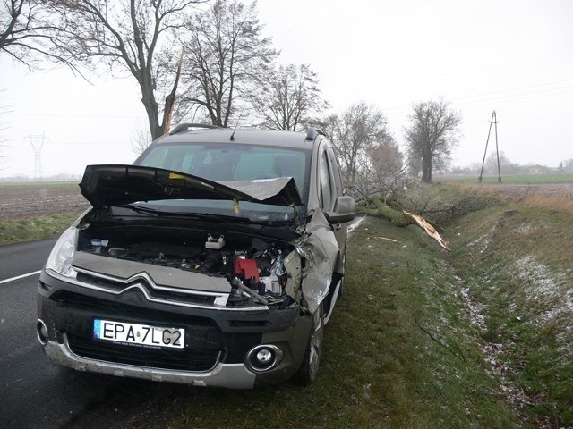 Na drodze koło Chodaków w gm. Zadzim drzewo przewróciło się na citroena