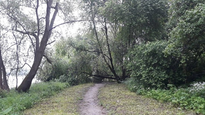 Trasa rowerowa Velo San Sanok-Zagórz została zniszczona [ZDJĘCIA]