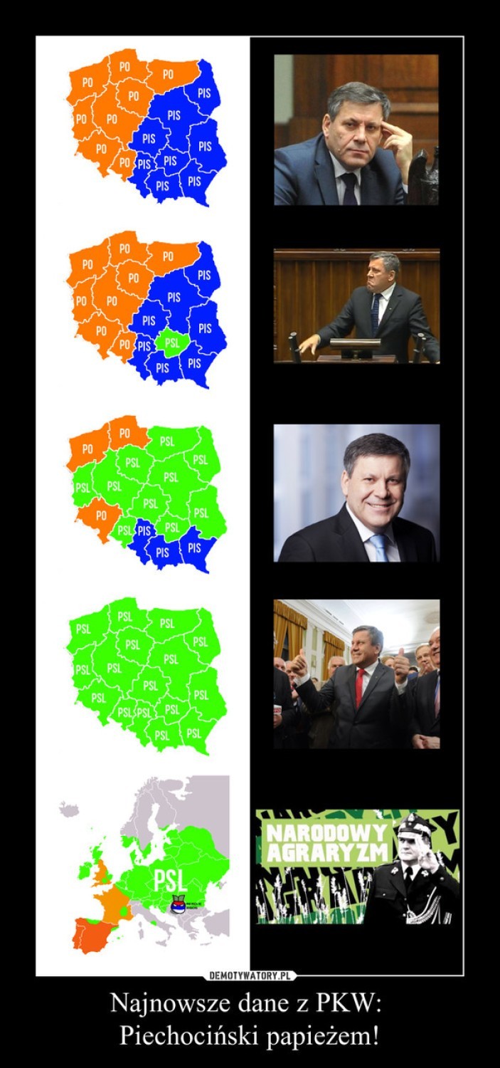Wybory samorządowe 2014: memy i reakcje internautów