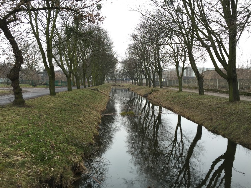 Tak teraz wygląda centrum miasta i okolice rzeki Wrześnicy