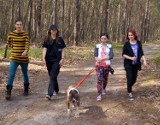 OTOZ Animals Lubliniec zaprasza na 2. Wspólny Spacer z Psami ze Schroniska [FOTO]