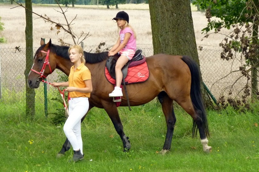 W OW "Deczno" odbył się III Charytatywny Maraton Zumba...