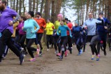 Parkrun Toruń 243 w lasku Na Skarpie. Mamy zdjęcia z sobotniego biegu! [22.02.]