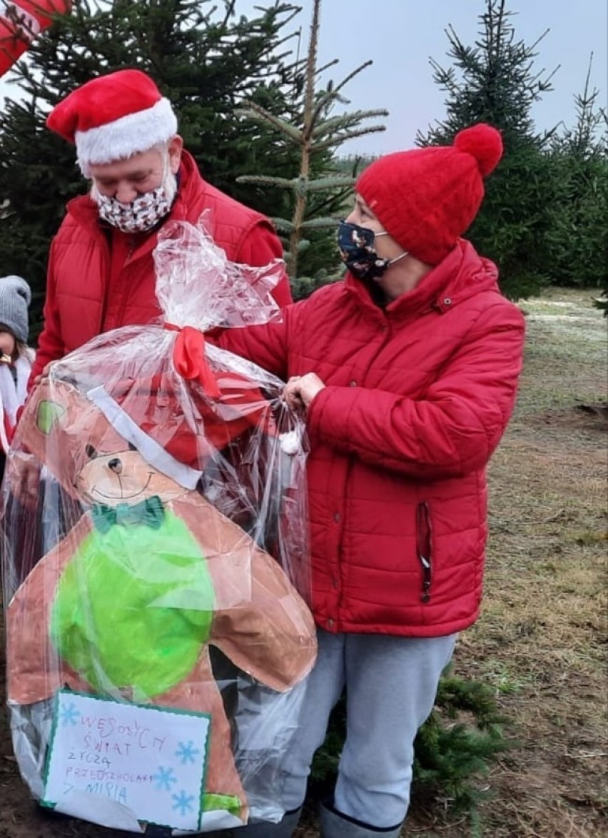 Przedszkolaki ze Szczecinka w poszukiwaniu świątecznego drzewka [zdjęcia]