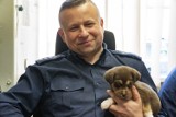 Nowodworski policjant adoptował porzuconego szczeniaka