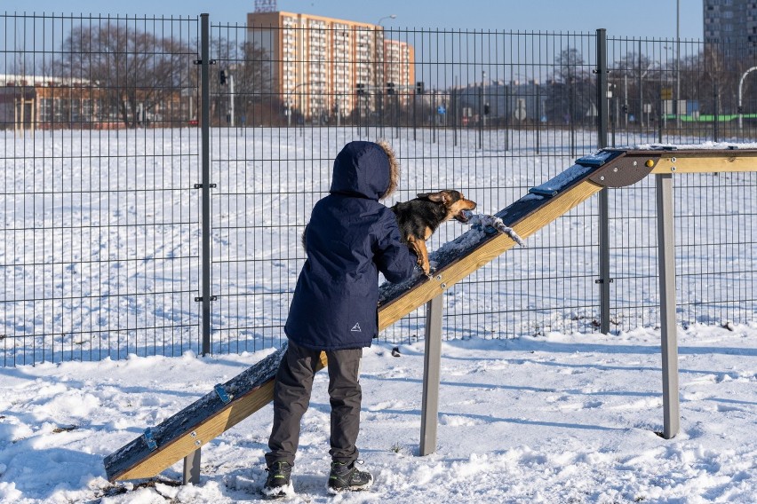 Nowy wybieg dla psów w Poznaniu.