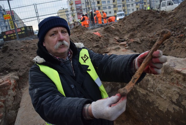 W środę 12 grudnia archeolodzy z Muzeum Lubuskiego w Gorzowie natrafili na pochówek prawdopodobnie z przełomu XV i XVI wieku. Ciało było pochowane około 3 metry poniżej remontowanej dziś ul. Sikorskiego.




- Być może została tu pochowana więcej niż jedna osoba. Z dużą dozą prawdopodobieństwa można powiedzieć, że jest to pochówek późnośredniowieczny. Możemy przyjąć, że z przełomu XV i XVI wieku, a na pewno wcześniejszy niż z połowy XVIII wieku. Być może to nawet pochówek sprzed założenia miasta – mówił nam w środę 12 grudnia Stanisław Sinkowski, szef działu archeologii w Muzeum Lubuskim. 

Kilkanaście dni temu archeolodzy pod powierzchnią ul. Sikorskiego na wysokości katedry archeolodzy natrafili na puste krypty grobowe. Zaczęli jednak kopać głębiej i w środę natrafili na pochówek. – Był pod jedną z tych krypt. Jest bardzo dobrze zachowany – mówi Sinkowski. Kości zachowały się w bardzo dobrym stanie. Widać, że ręce pochowanej osoby zostały przy pochówku złożone na piersi.

Jak ciało mogło zostać pochowane? Nie ma śladów drewna. – Jeśli była trumna, może była zrobiona z gorszej jakości drewna i szybko się rozłożyła – mówi Sinkowski. Nie jest też wykluczone, że ciało zostało pochowane w całunie.

Cmentarz w centrum miasta istniał do połowy XVIII wieku. Na razie trudno powiedzieć, czy pochówek oraz krypty były częścią terenu dzisiejszej katedry czy też kościółka św. Jana (archeolodzy mówią, że można na jego fundamenty natrafić przy okazji remontu ul. Sikorskiego).

Czytaj też: Pod ul.Sikorskiego właśnie odkopali... grobowce


