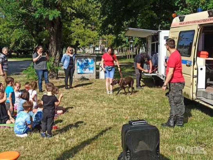 "Rodzinna niedziela" z czworonożnym ratownikiem w Ostrowie...