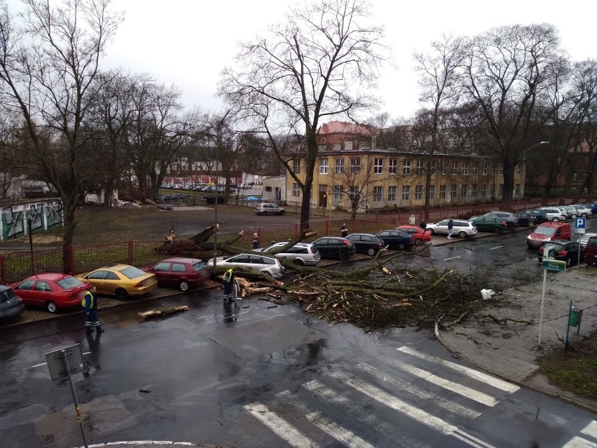 Wichura nad Szczecinem. Drzewa runęły na samochody [WIDEO, ZDJĘCIA]