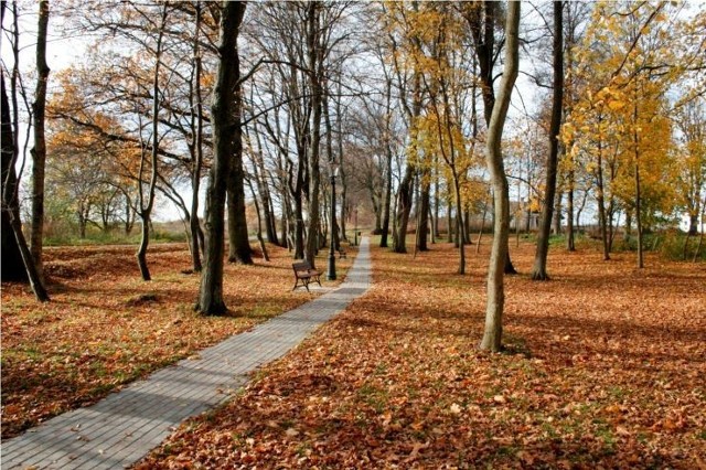 Dąbrówka ma odnowiony park. Dzięki sportowcom