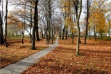 Dąbrówka ma odnowiony park. Dzięki sportowcom z KS Victoria Dąbrówka