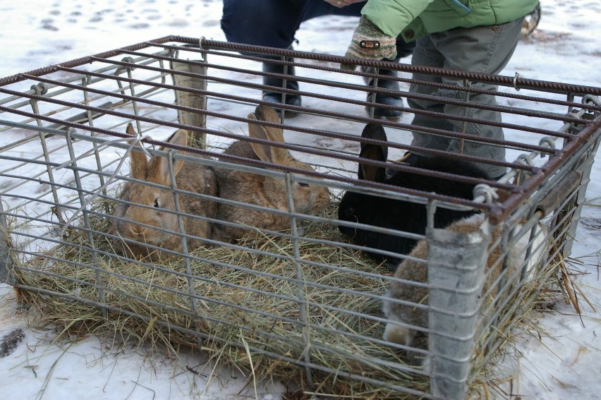 BIECZ. Przyszli na jarmark, wspierali żłobek [ZDJĘCIA]