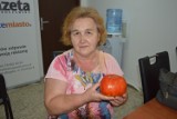 Pomidor gigant wyrósł na działce pani Władysławy