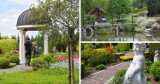 Ogrody Kapiasów w Goczałkowicach Zdroju. Czas kwitnienia azalii i rododendronów - ZDJĘCIA