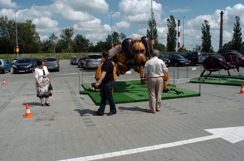 Centrum Handlowe Jantar Słupsk: Wystawa gigantycznych owadów w Jantarze [ZDJĘCIA+FILM]