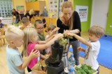 Pleszew. Katarzyna Błażejewska-Stuhr opowiadała o zdrowym żywieniu w bibliotece i przedszkolu