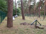 Tak wygląda nowe miejsce do psich zabaw w Bydgoszczy. Psi wybieg powstaje na osiedlu Leśnym